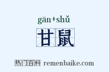 甘鼠是什么意思的图片